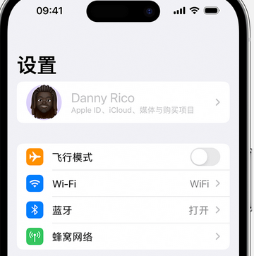 睢阳appleID维修服务iPhone设置中Apple ID显示为灰色无法使用 