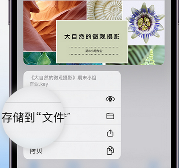 睢阳apple维修中心分享iPhone文件应用中存储和找到下载文件