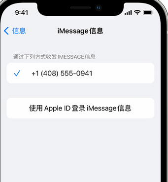 睢阳apple维修iPhone上无法正常发送iMessage信息 