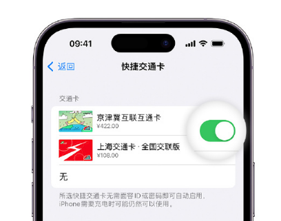 睢阳apple维修点分享iPhone上更换Apple Pay快捷交通卡手绘卡面 