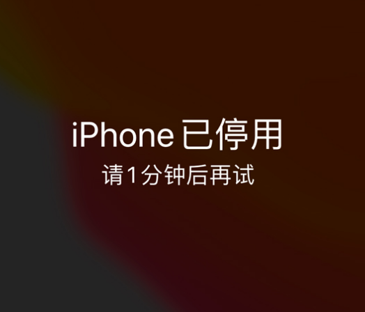 睢阳苹果手机维修分享:iPhone 显示“不可用”或“已停用”怎么办？还能保留数据吗？ 