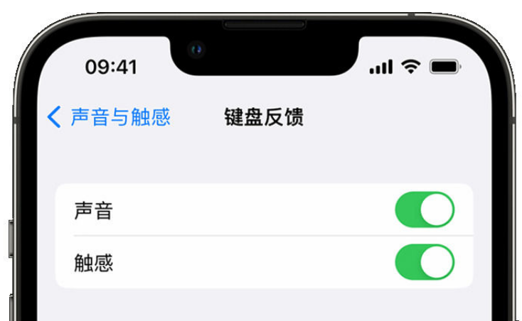 睢阳苹果手机维修分享iPhone 14触感键盘使用方法 