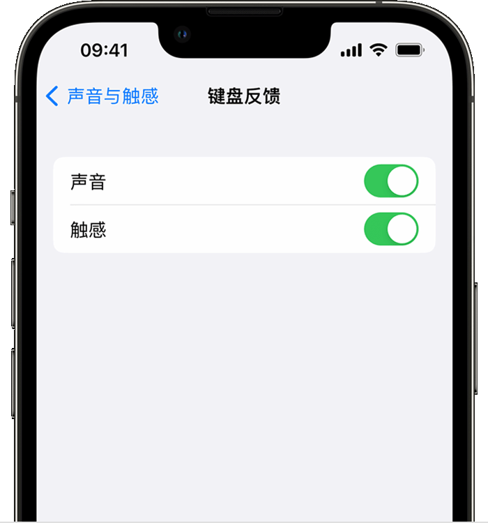 睢阳苹果14维修店分享如何在 iPhone 14 机型中使用触感键盘 