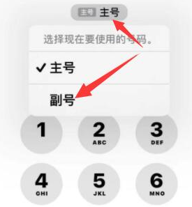 睢阳苹果14维修店分享iPhone 14 Pro Max使用副卡打电话的方法 