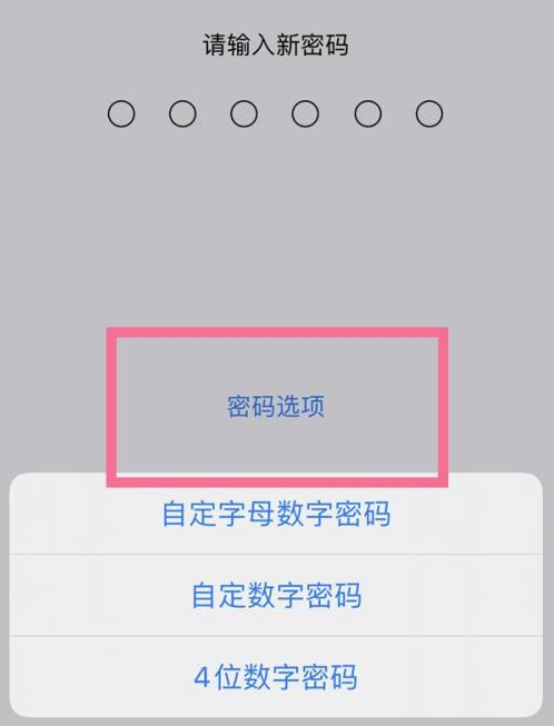 睢阳苹果14维修分享iPhone 14plus设置密码的方法 