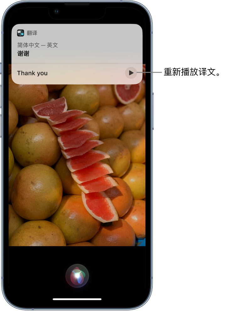 睢阳苹果14维修分享 iPhone 14 机型中使用 Siri：了解 Siri 能帮你做什么 