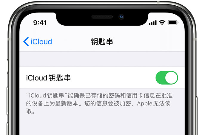 睢阳苹果手机维修分享在 iPhone 上开启 iCloud 钥匙串之后会储存哪些信息 