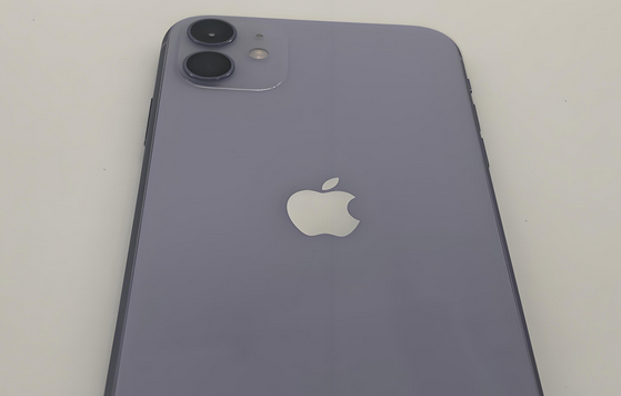 睢阳苹果11系统维修分享iPhone11手机系统崩溃无法开机如何解决 